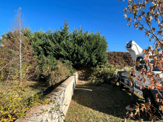 debrousaillage-mur