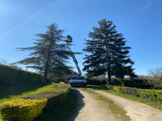 elagage-grande-hauteur-avec-nacelle