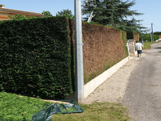 taille-de-haie